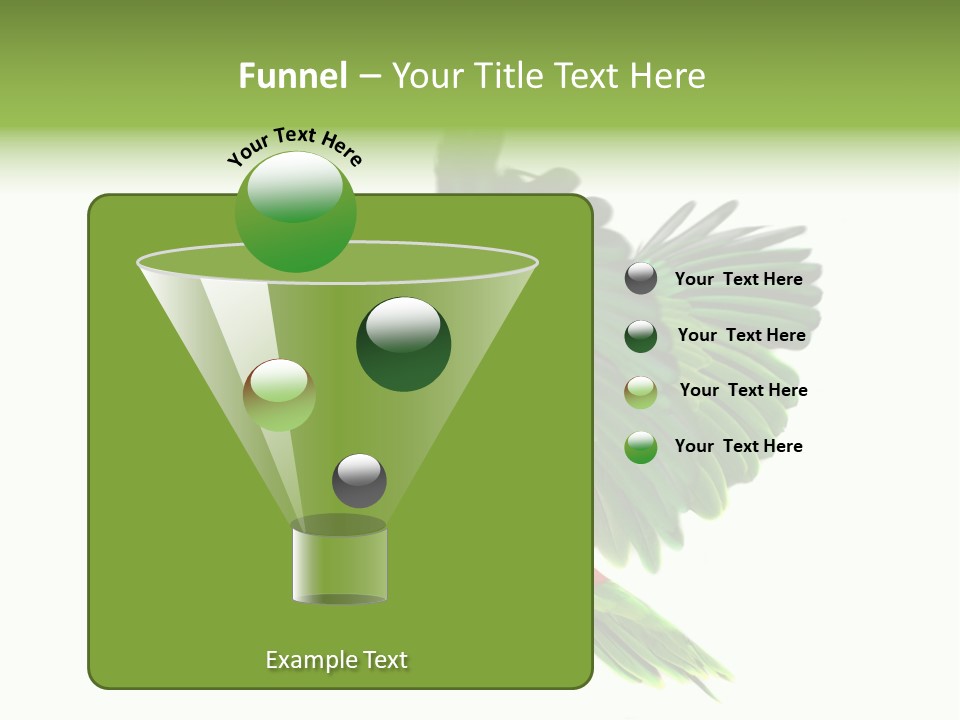 Colorful Flying Parrot PowerPoint Template