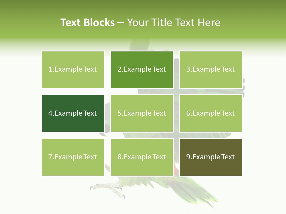 Colorful Flying Parrot PowerPoint Template