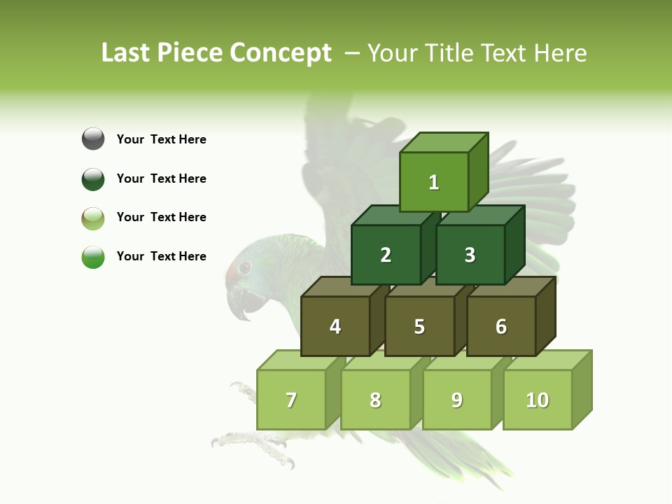 Colorful Flying Parrot PowerPoint Template