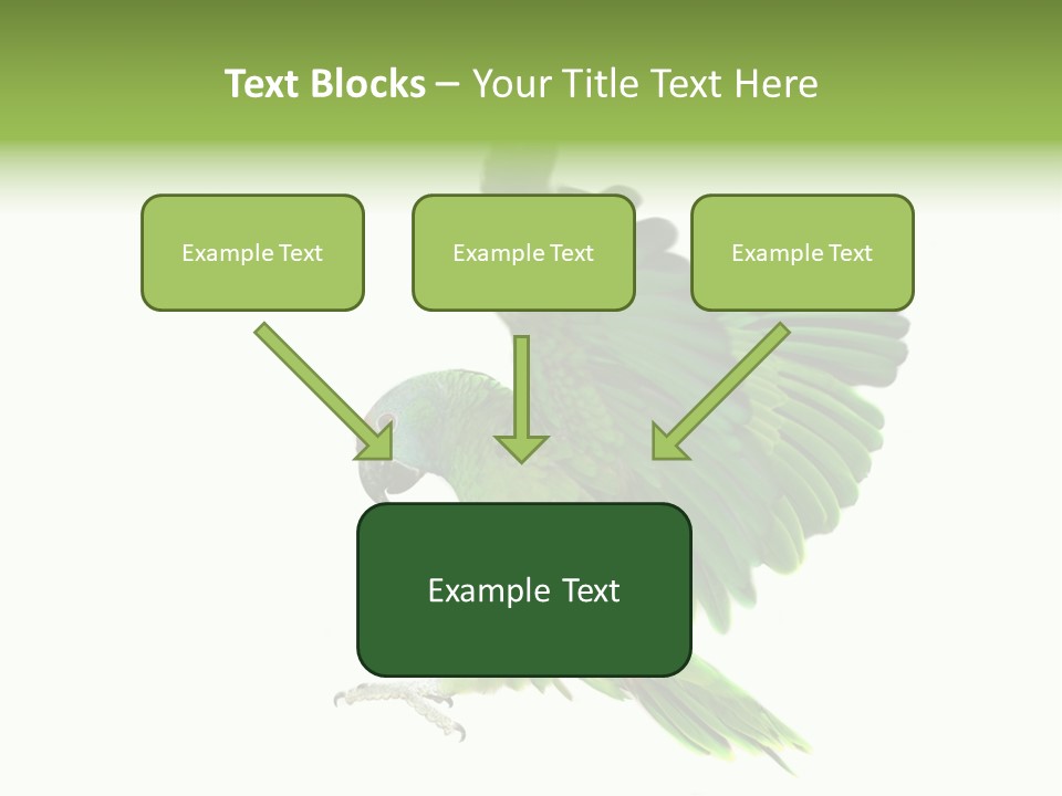 Colorful Flying Parrot PowerPoint Template