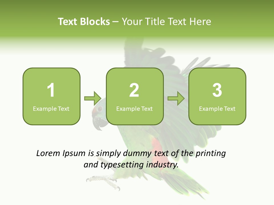 Colorful Flying Parrot PowerPoint Template