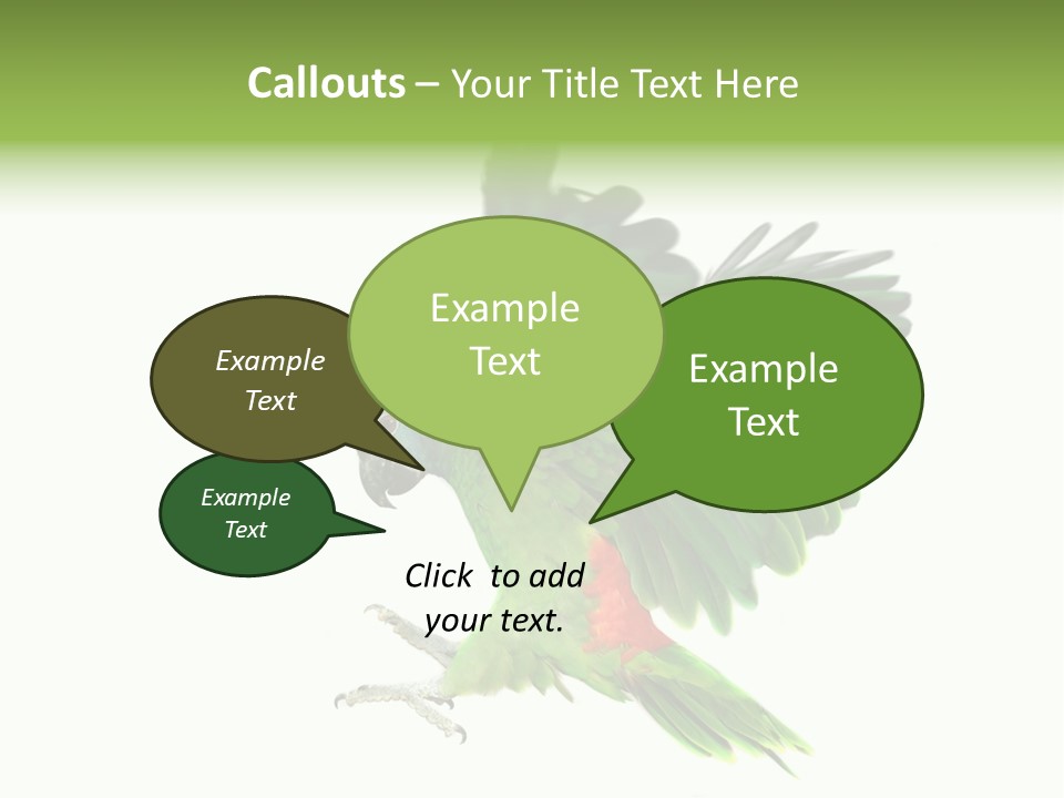 Colorful Flying Parrot PowerPoint Template