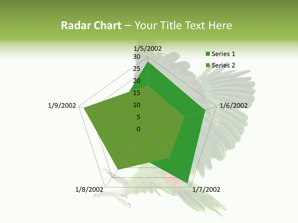 Colorful Flying Parrot PowerPoint Template