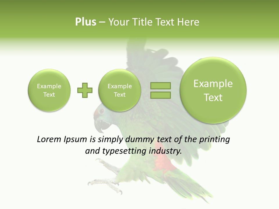 Colorful Flying Parrot PowerPoint Template