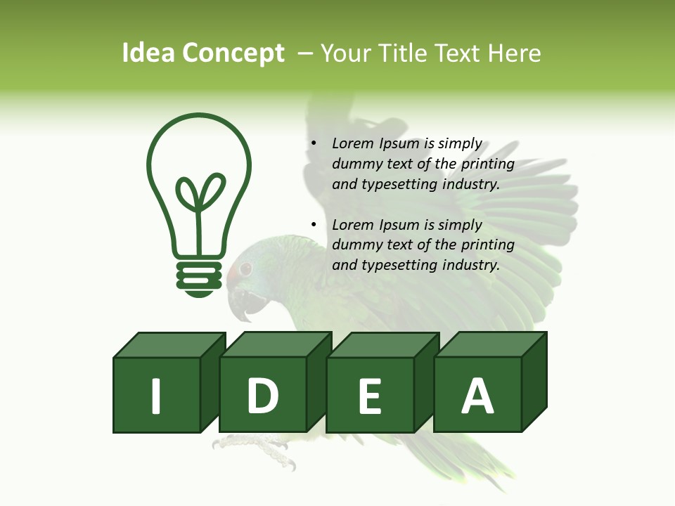 Colorful Flying Parrot PowerPoint Template