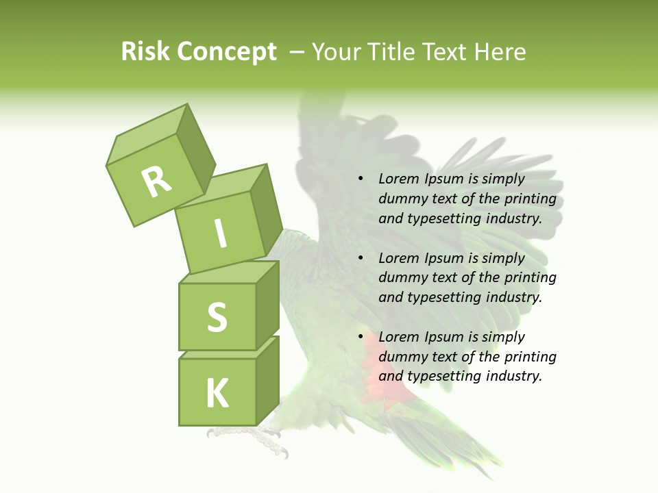 Colorful Flying Parrot PowerPoint Template