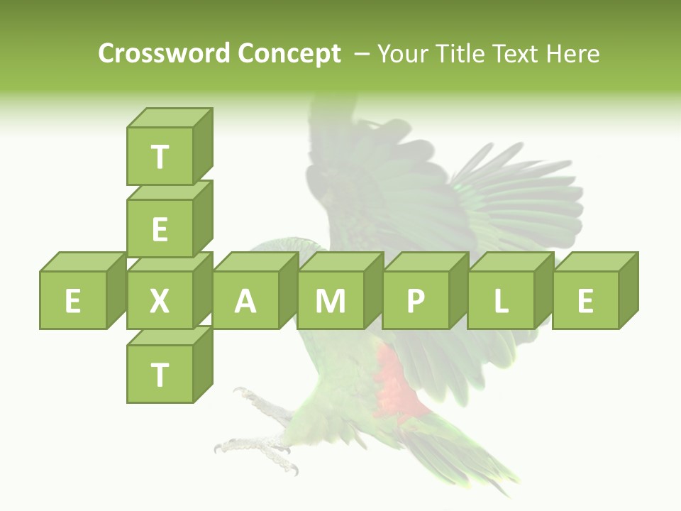 Colorful Flying Parrot PowerPoint Template