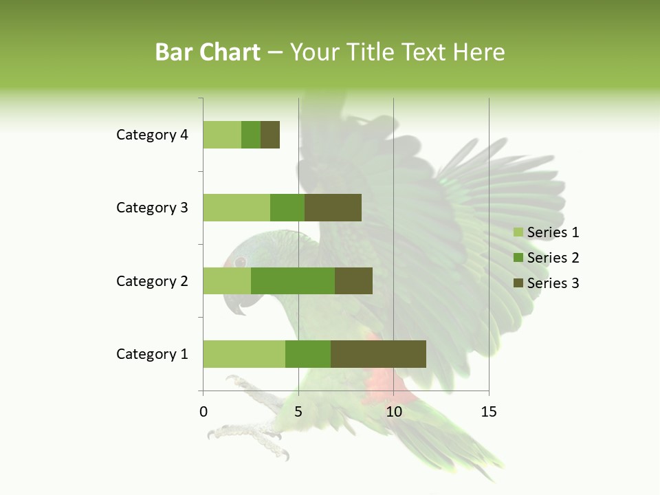 Colorful Flying Parrot PowerPoint Template