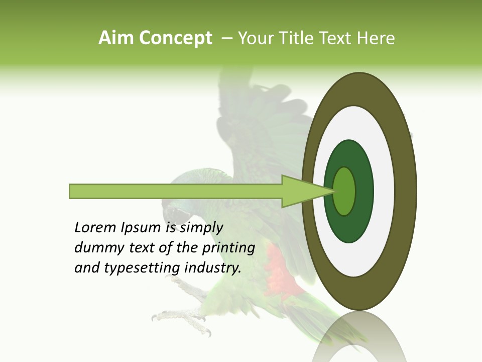 Colorful Flying Parrot PowerPoint Template