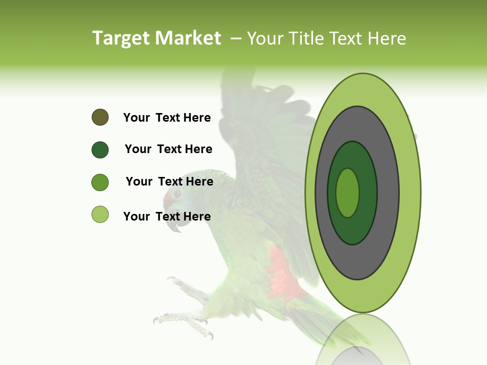 Colorful Flying Parrot PowerPoint Template