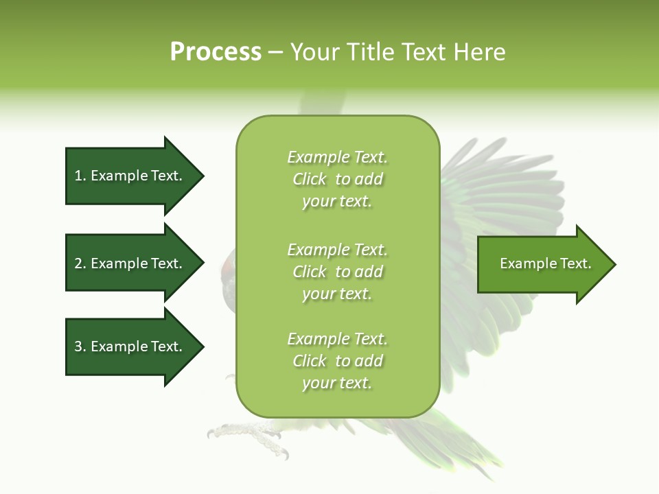 Colorful Flying Parrot PowerPoint Template