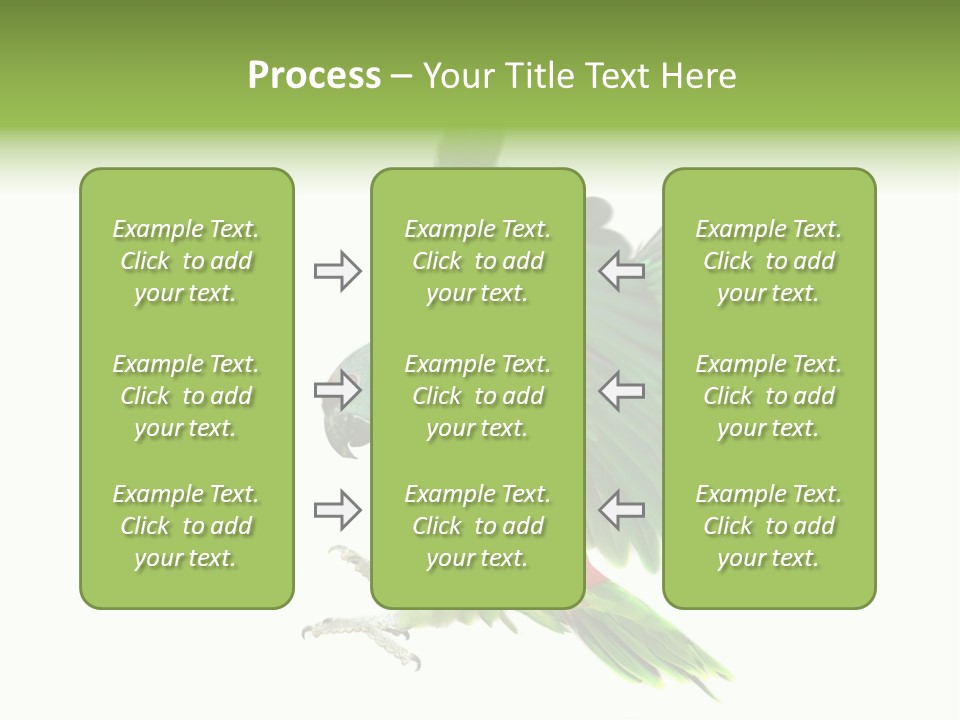 Colorful Flying Parrot PowerPoint Template