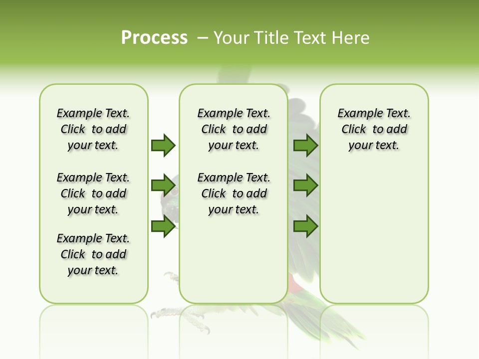 Colorful Flying Parrot PowerPoint Template