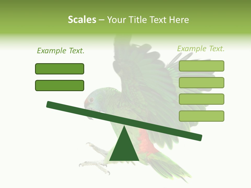 Colorful Flying Parrot PowerPoint Template