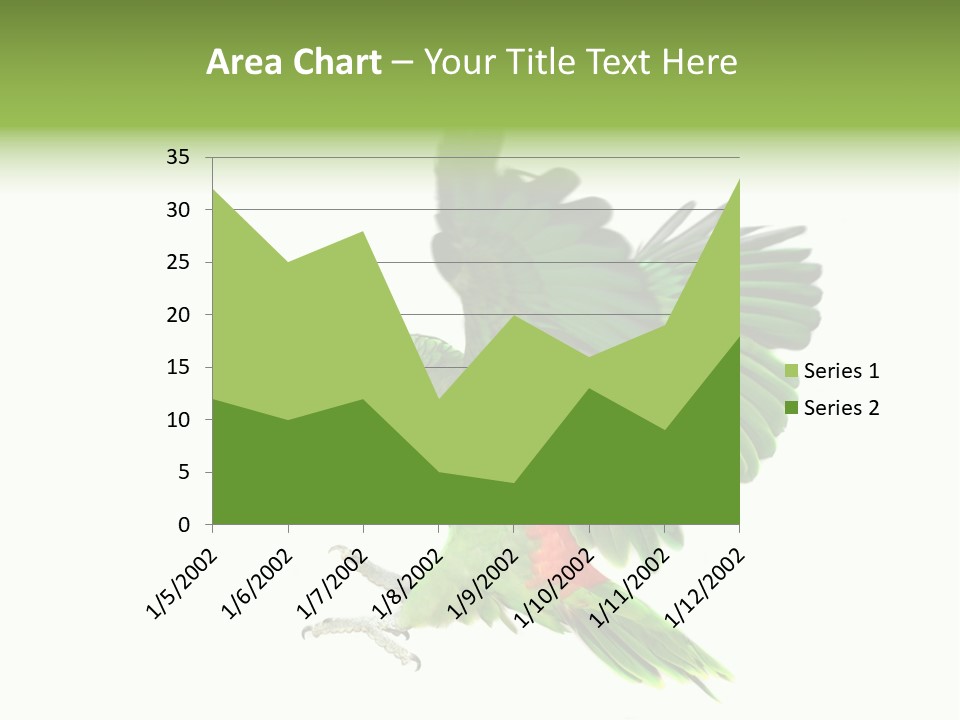 Colorful Flying Parrot PowerPoint Template