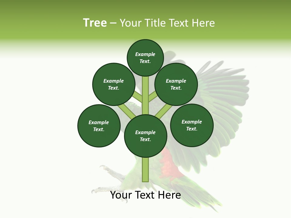 Colorful Flying Parrot PowerPoint Template