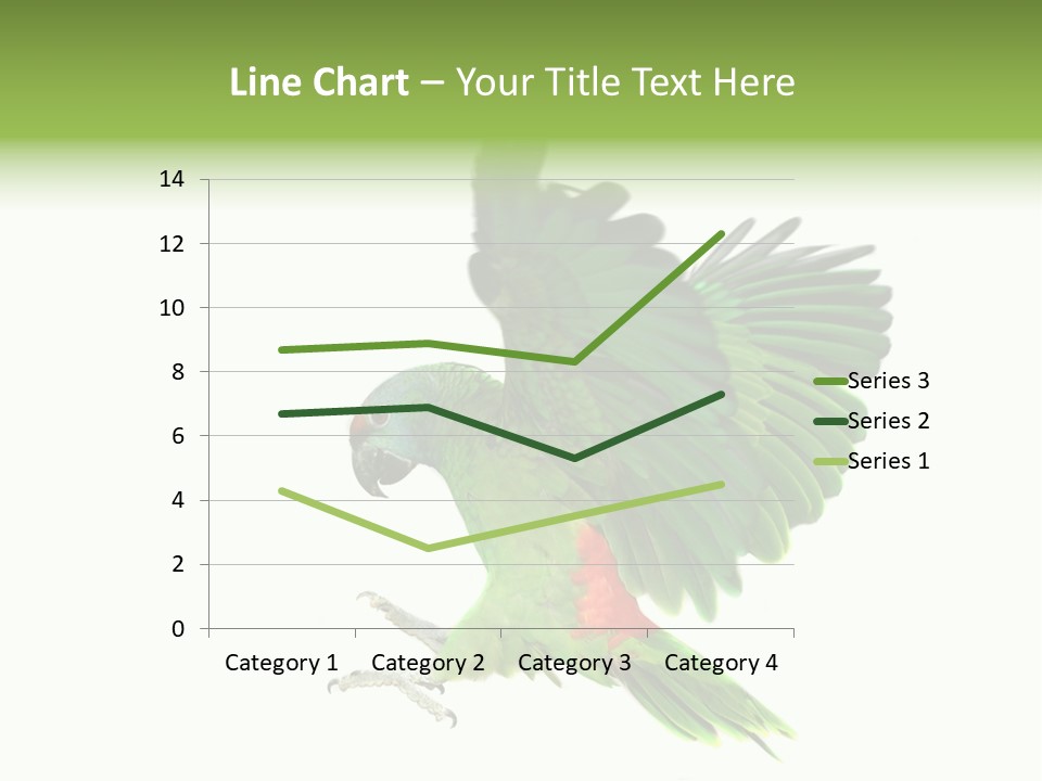 Colorful Flying Parrot PowerPoint Template