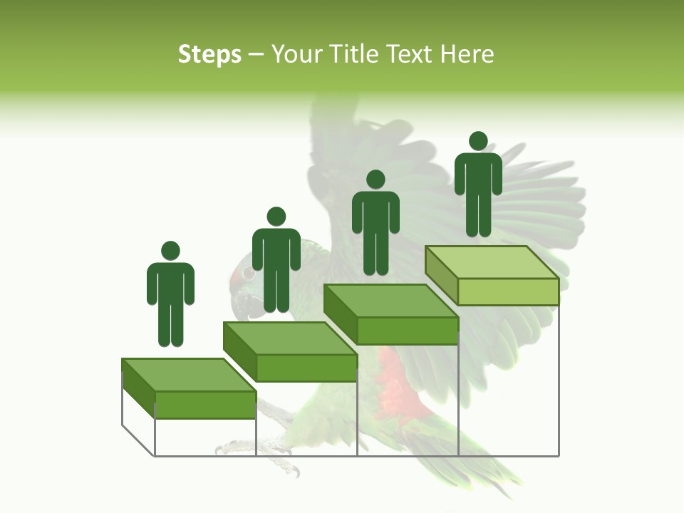 Colorful Flying Parrot PowerPoint Template