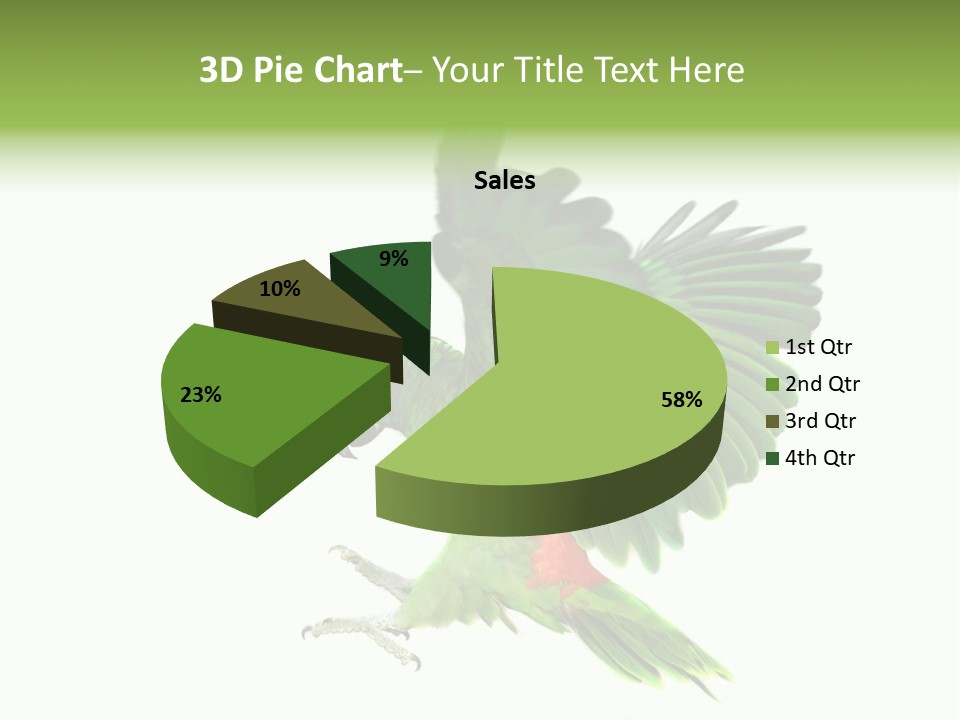 Colorful Flying Parrot PowerPoint Template