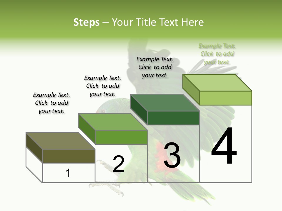 Colorful Flying Parrot PowerPoint Template