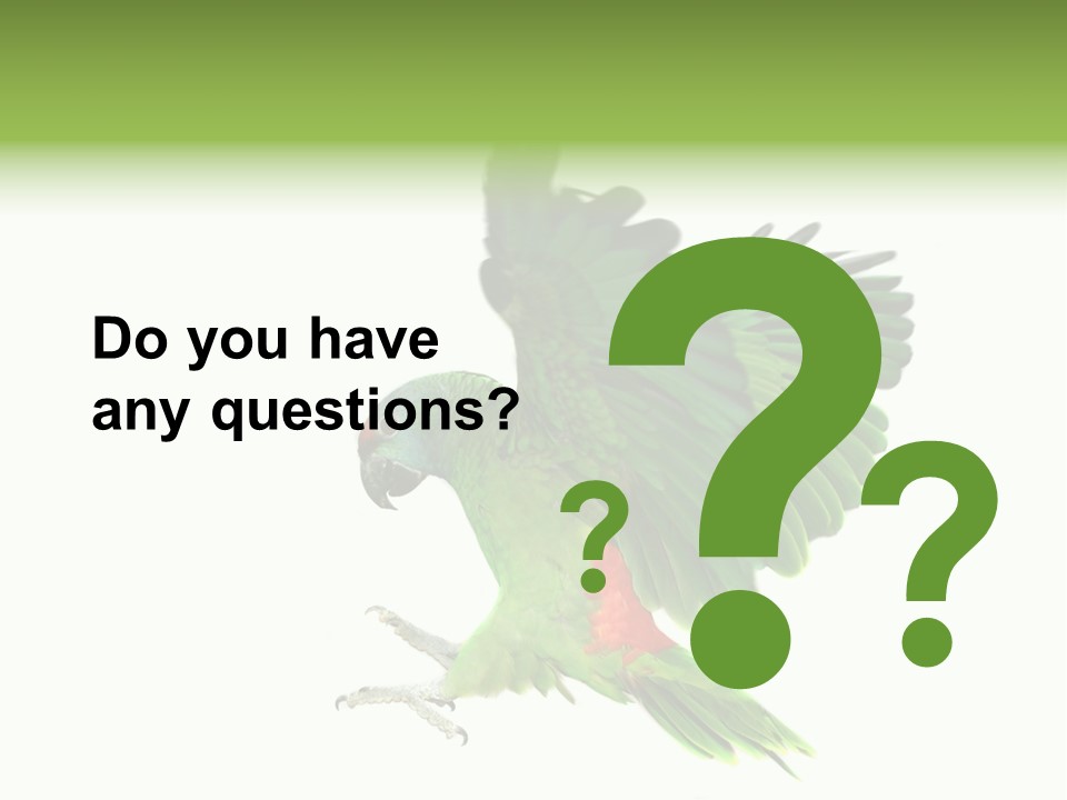 Colorful Flying Parrot PowerPoint Template