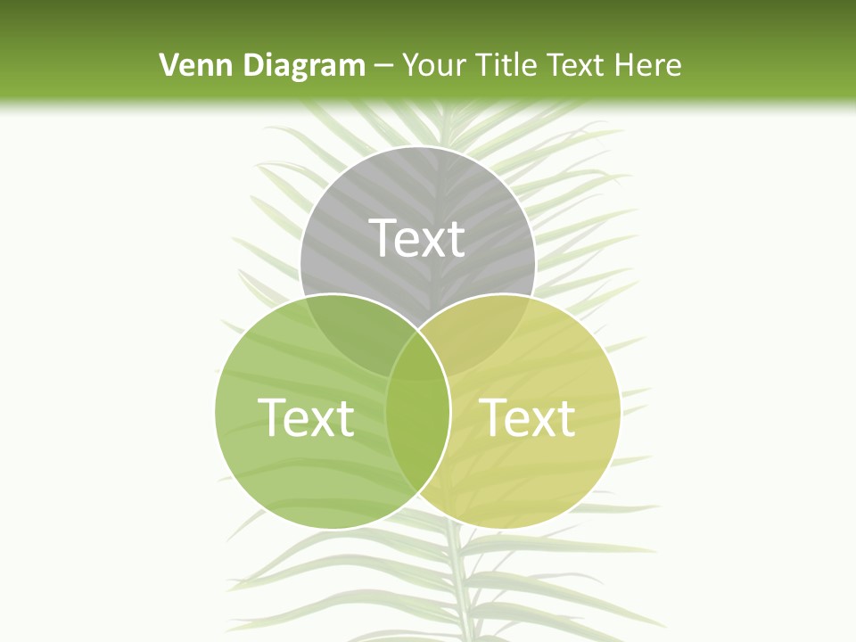 Nature Plante Feuille PowerPoint Template