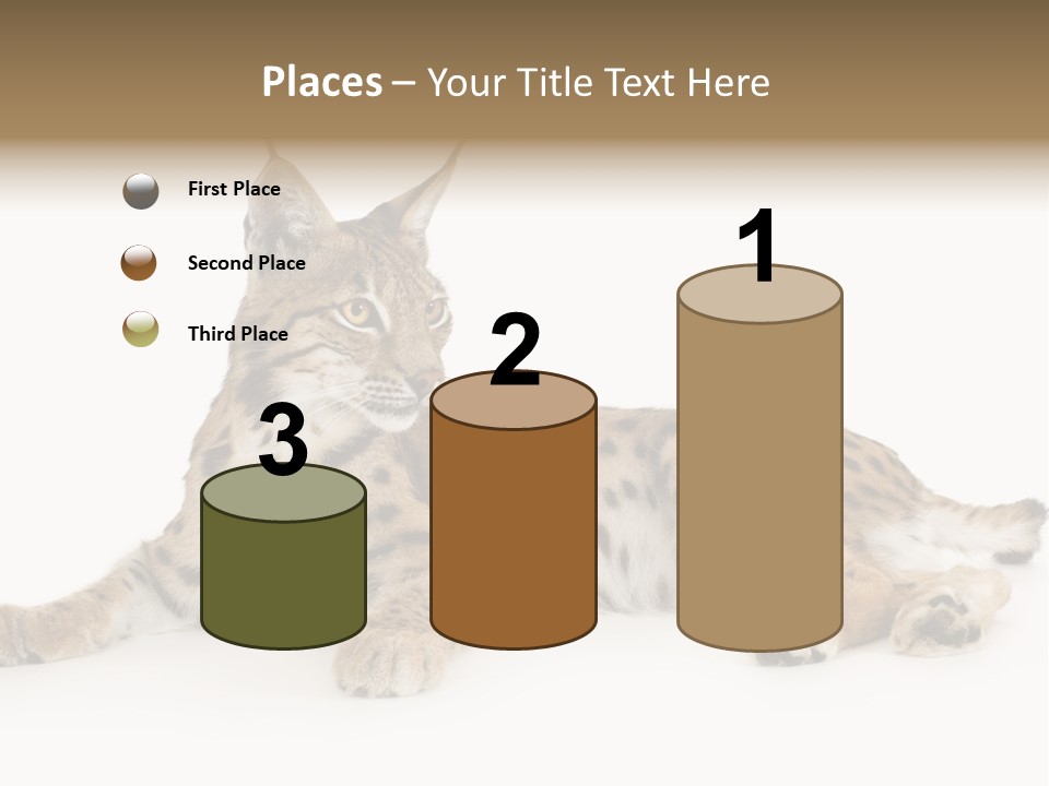 Resting Rest Attentive PowerPoint Template