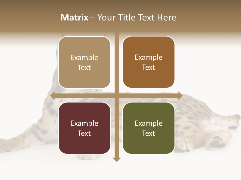 Resting Rest Attentive PowerPoint Template