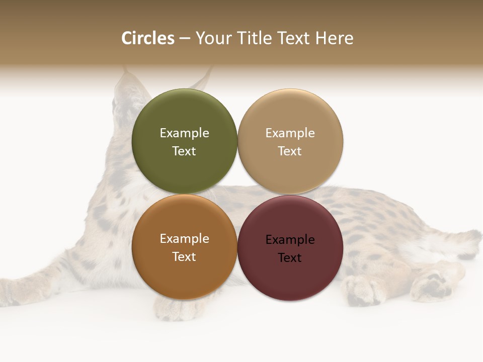 Resting Rest Attentive PowerPoint Template