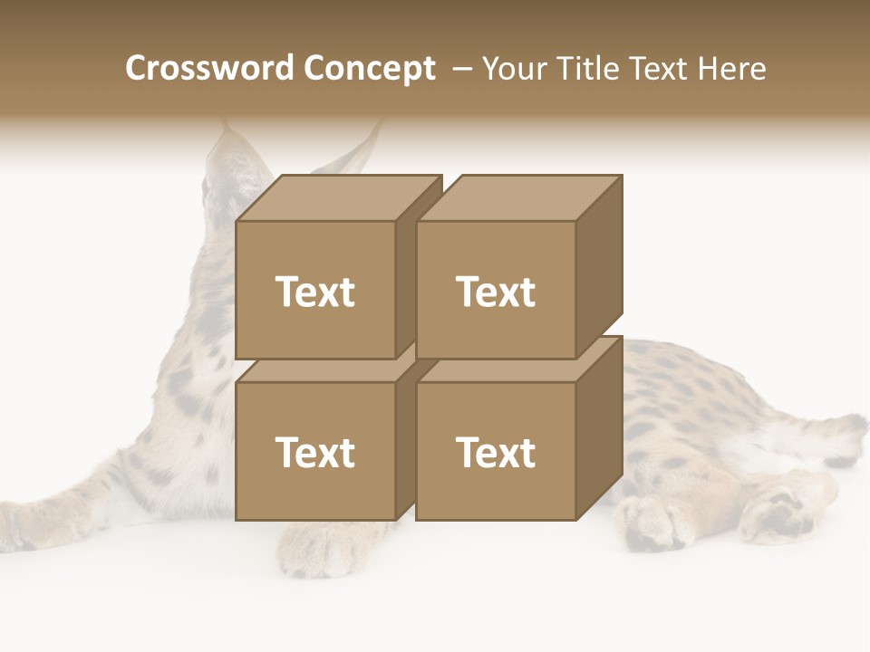 Resting Rest Attentive PowerPoint Template