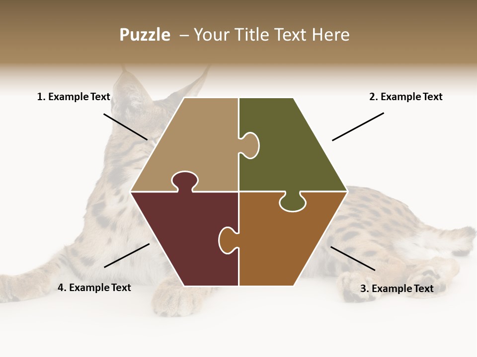 Resting Rest Attentive PowerPoint Template