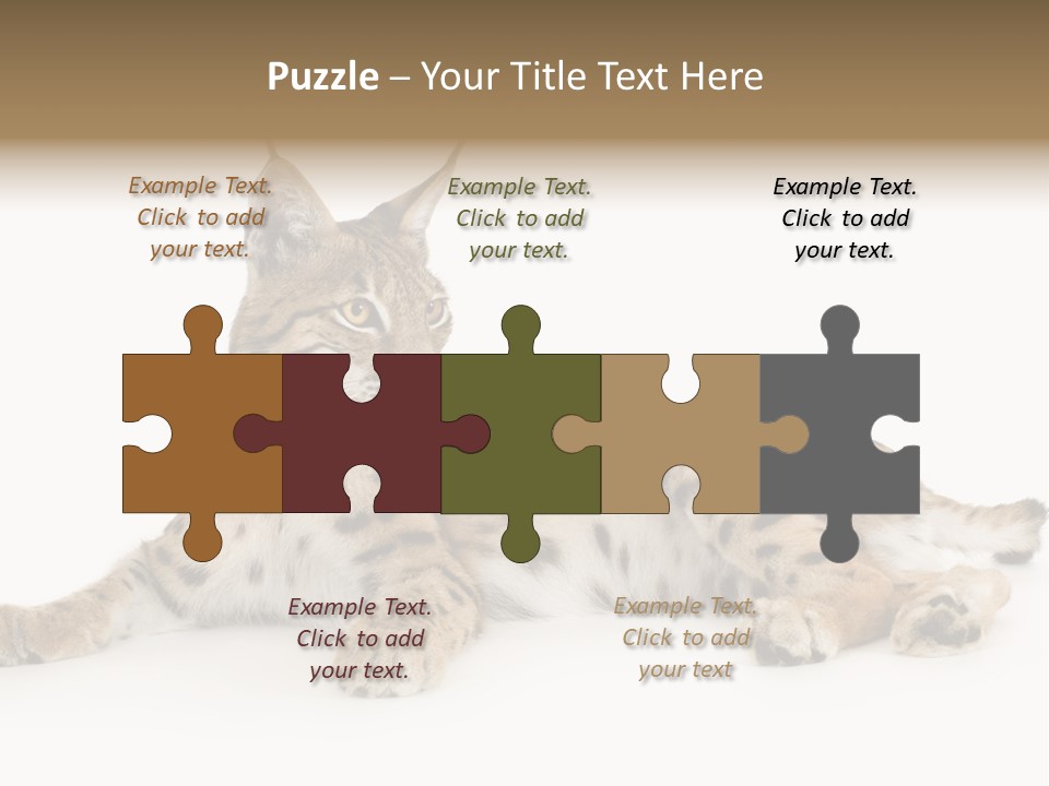 Resting Rest Attentive PowerPoint Template