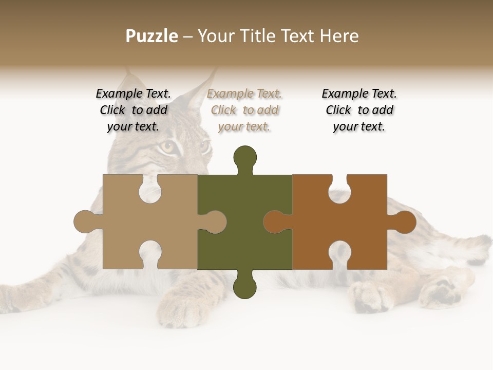 Resting Rest Attentive PowerPoint Template