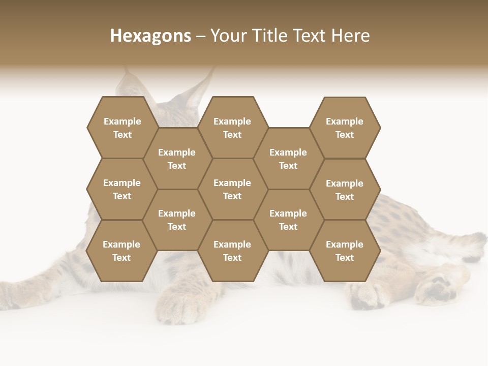 Resting Rest Attentive PowerPoint Template