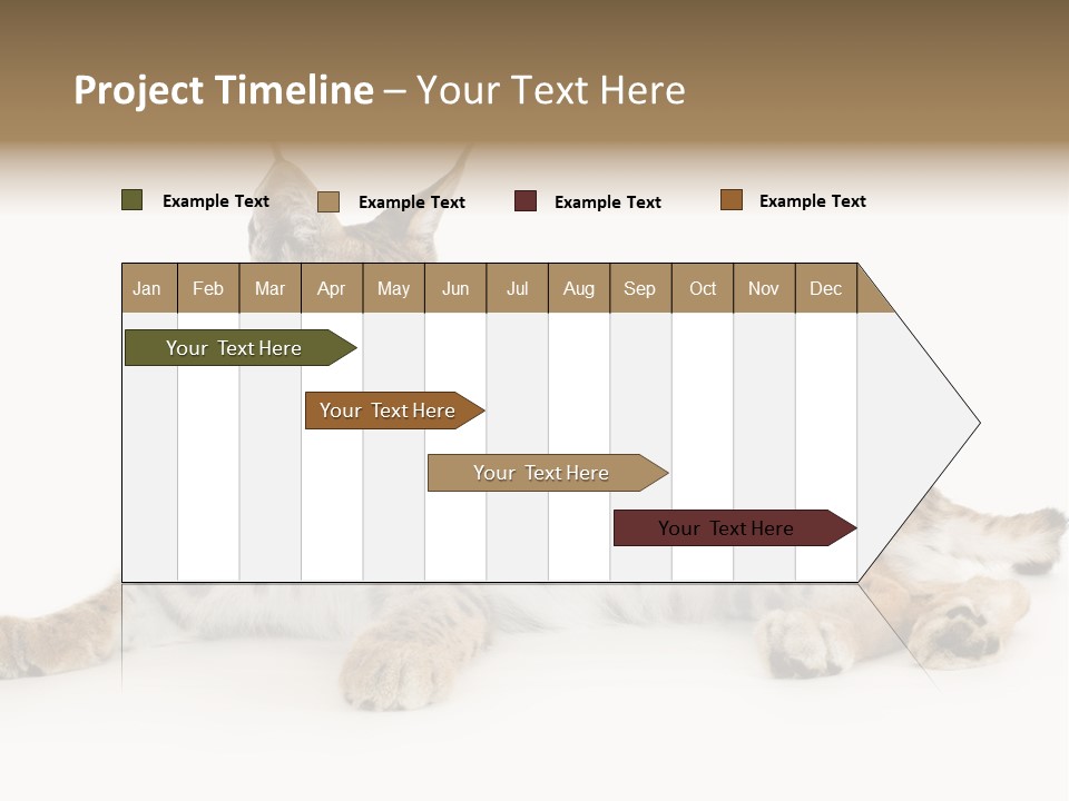 Resting Rest Attentive PowerPoint Template