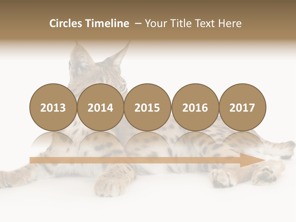 Resting Rest Attentive PowerPoint Template