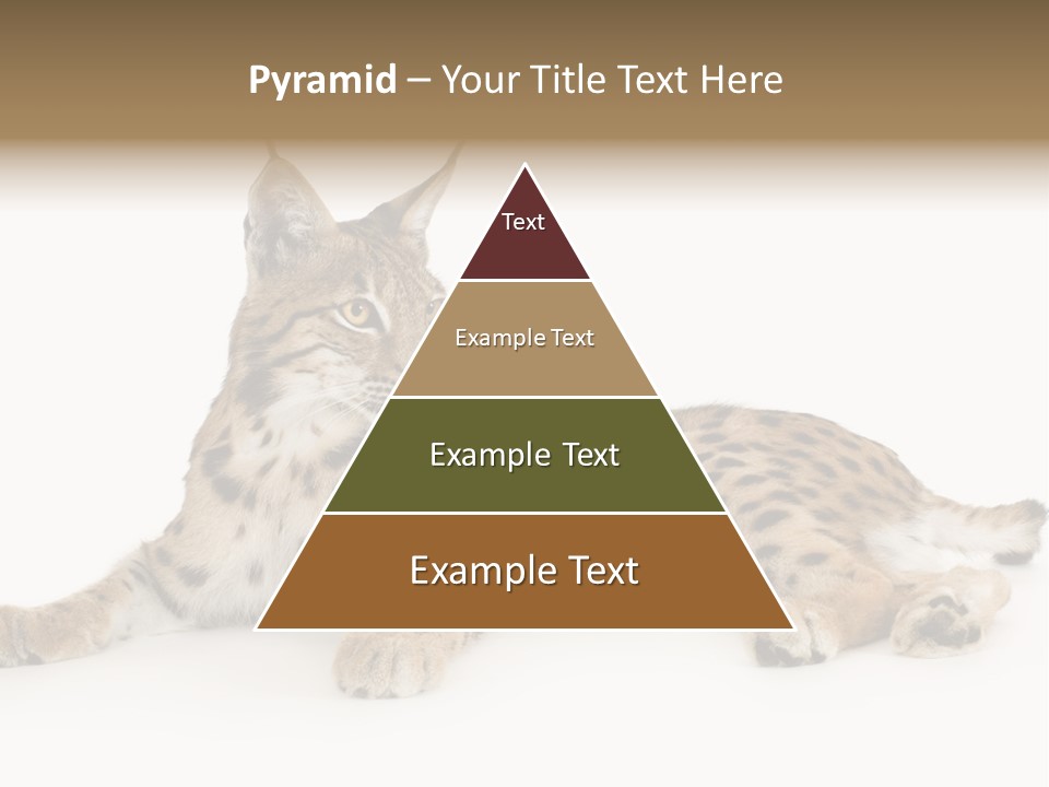 Resting Rest Attentive PowerPoint Template