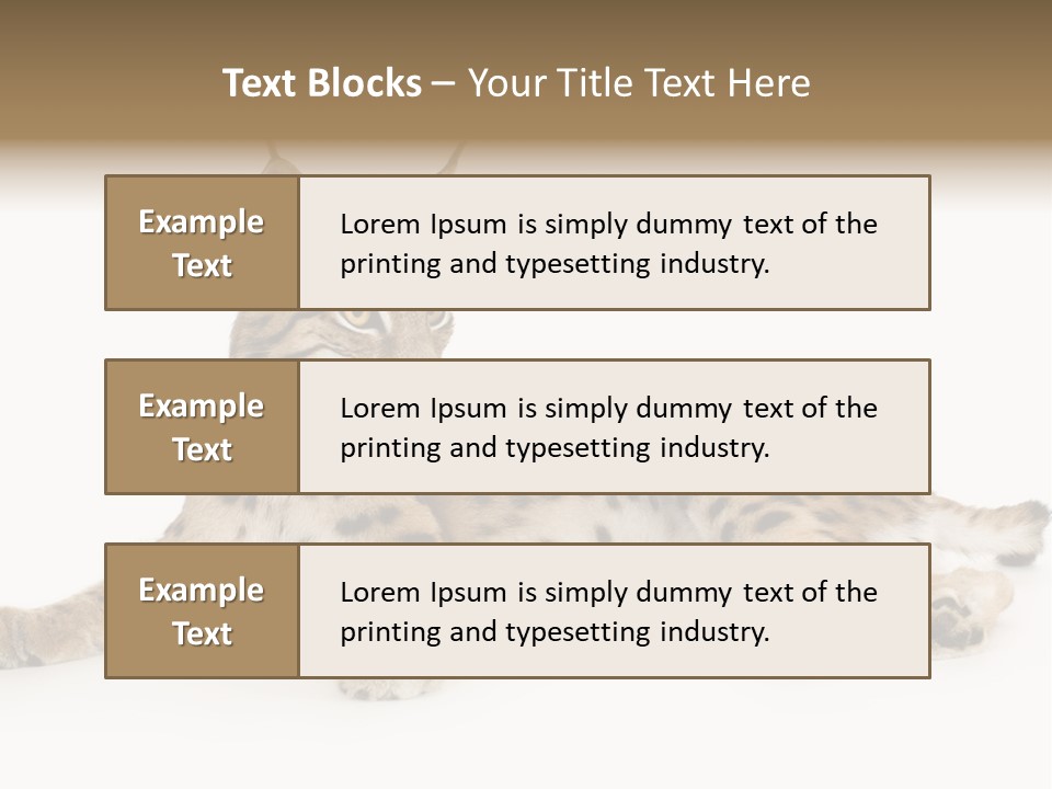 Resting Rest Attentive PowerPoint Template