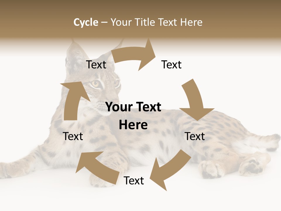 Resting Rest Attentive PowerPoint Template
