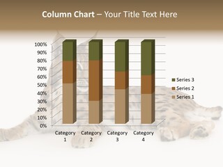 Resting Rest Attentive PowerPoint Template