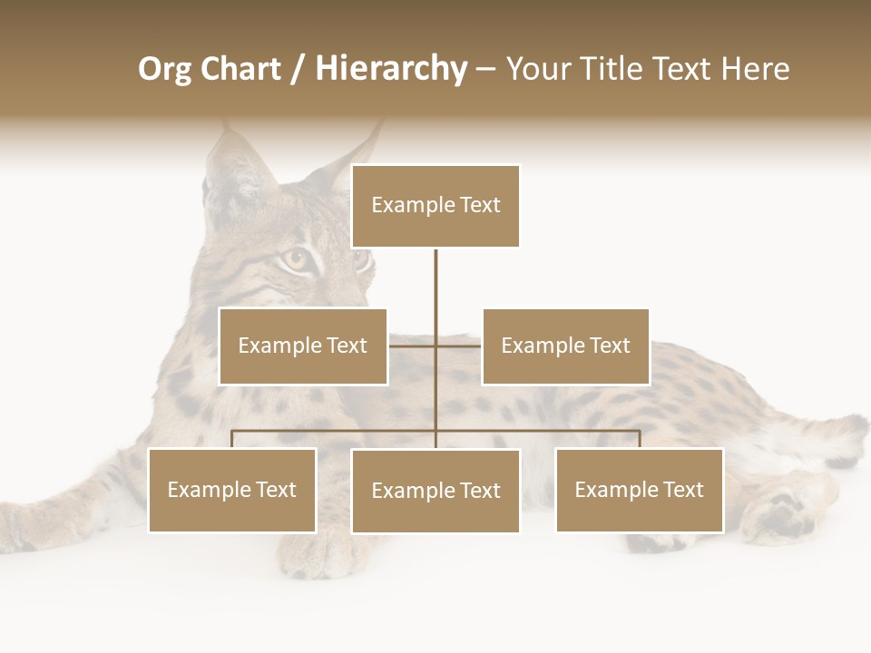 Resting Rest Attentive PowerPoint Template