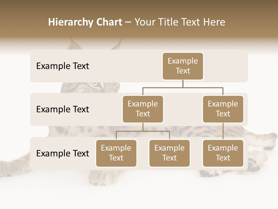 Resting Rest Attentive PowerPoint Template