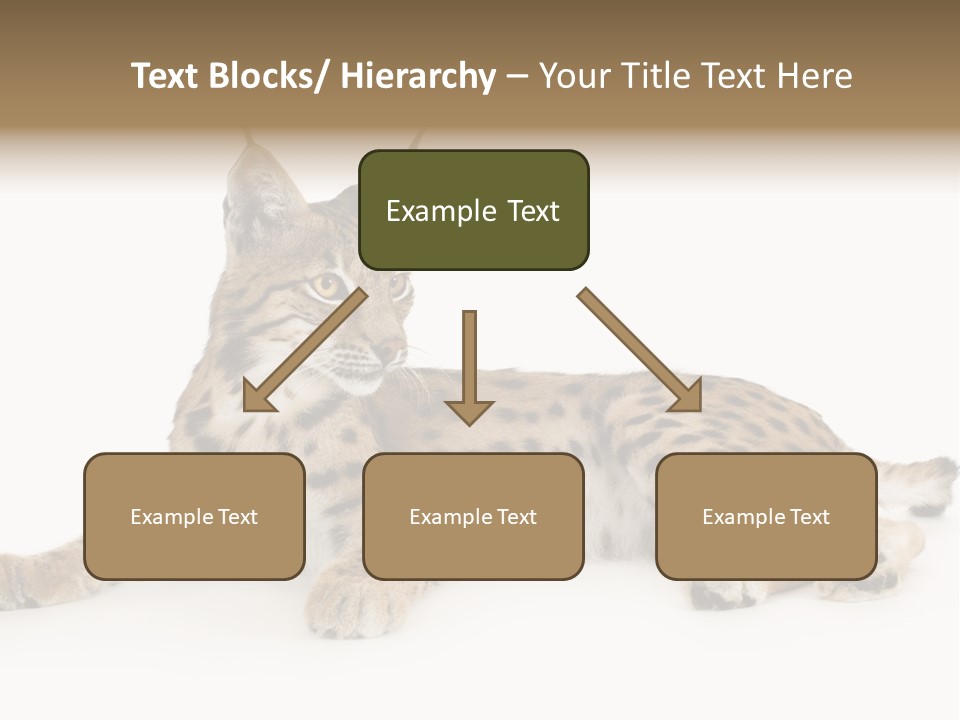 Resting Rest Attentive PowerPoint Template