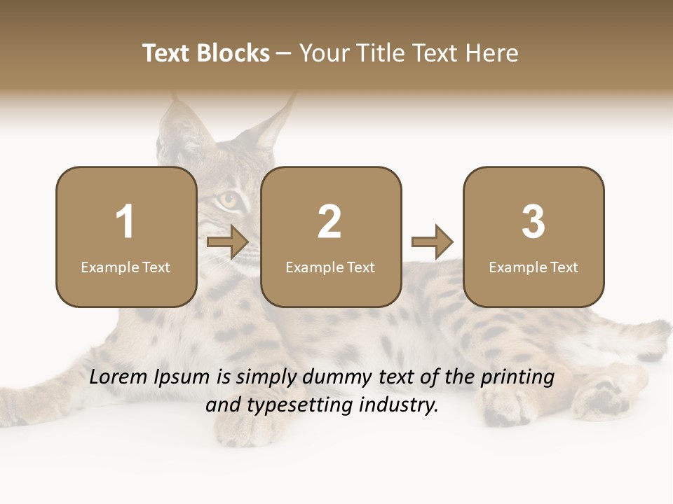 Resting Rest Attentive PowerPoint Template