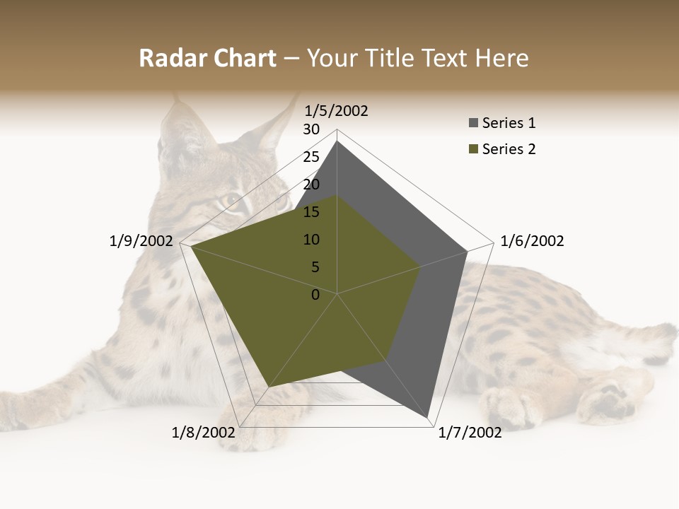 Resting Rest Attentive PowerPoint Template
