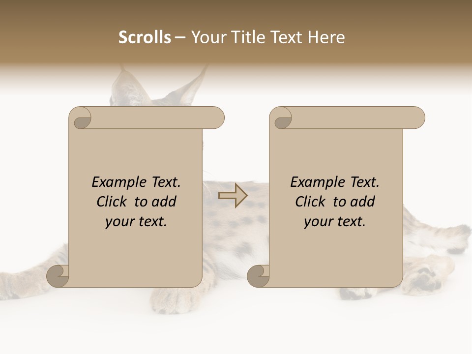 Resting Rest Attentive PowerPoint Template