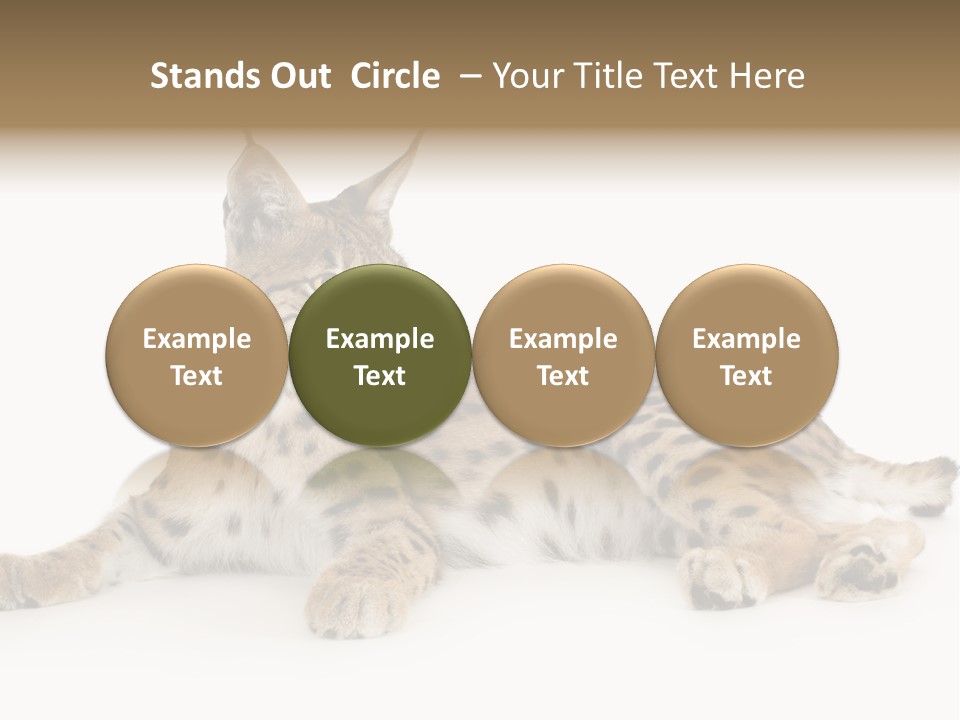 Resting Rest Attentive PowerPoint Template