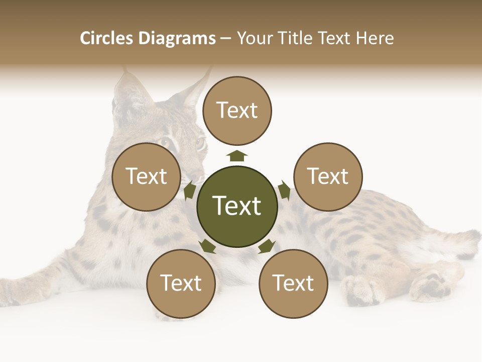 Resting Rest Attentive PowerPoint Template