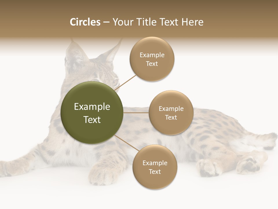 Resting Rest Attentive PowerPoint Template