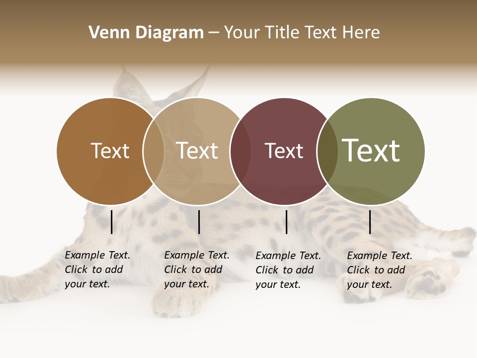 Resting Rest Attentive PowerPoint Template